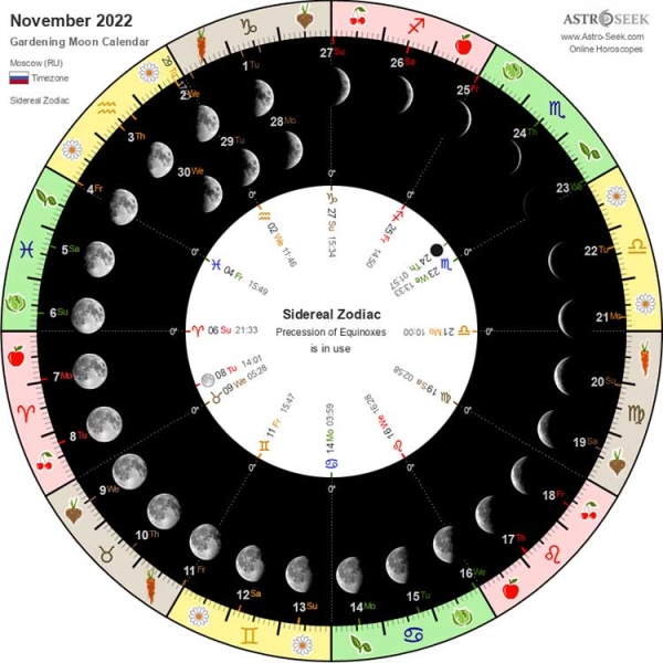 Лунный календарь садовода и огородника на ноябрь 2022 года