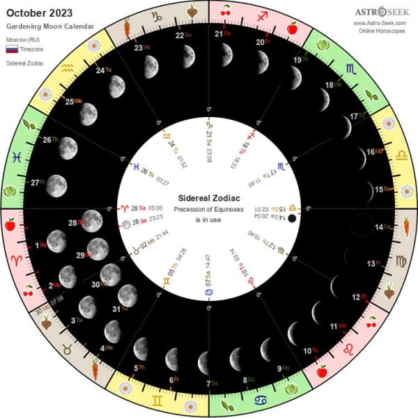 Лунный календарь садовода и огородника на октябрь 2023 года