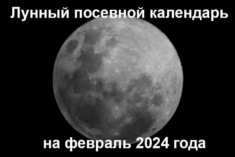 Лунный посевной календарь садовода на февраль 2024 года