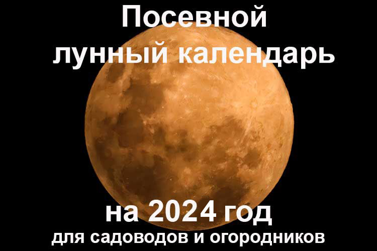Посевной лунный календарь садовода и огородника на 2024 год