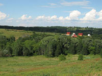 Какие деревянные окна поставить в квартире?