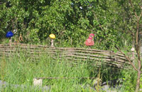 Как выбрать шуруповерт для дома?