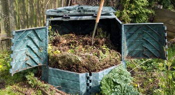 Основные виды органических удобрений и особенности их применения