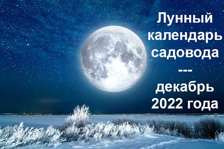 Садовый лунный календарь на декабрь 2022 года