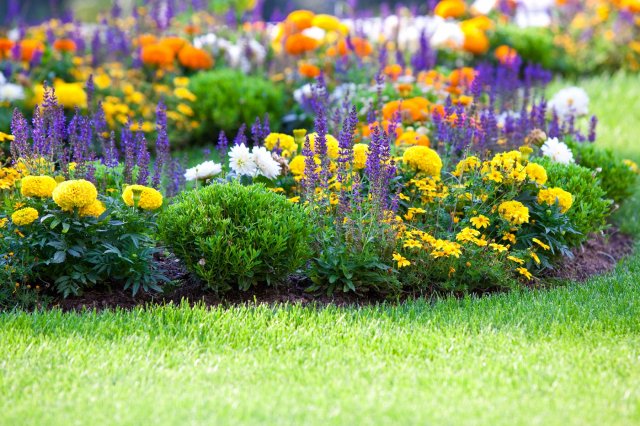 Так просто: 25 крутых фишек, которые превратят ваш участок в сад с обложки 