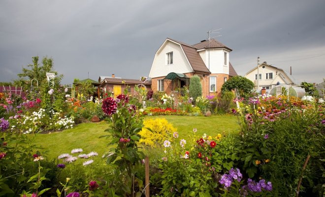 Так просто: 25 крутых фишек, которые превратят ваш участок в сад с обложки 