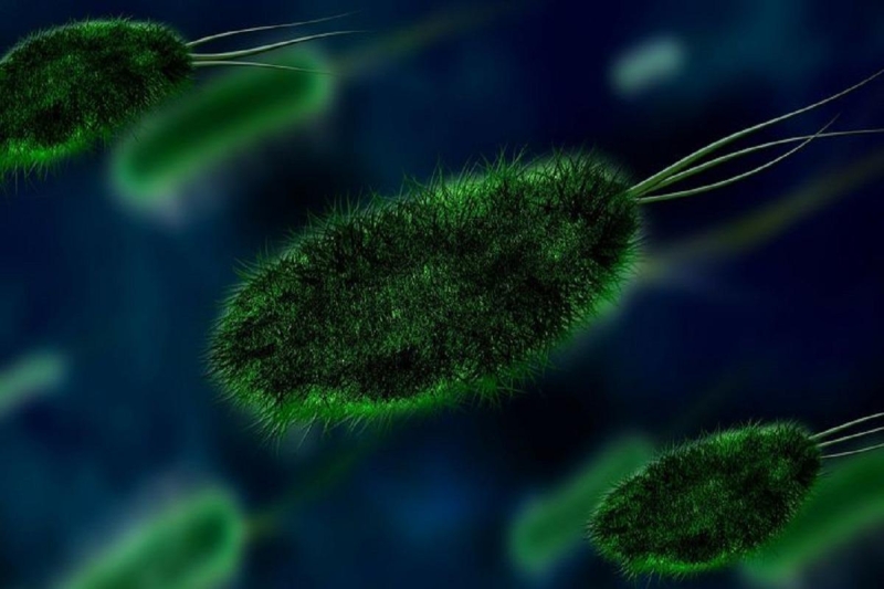 Ученые сообщили о распространении в Великобритании нового смертельного вируса-мутанта