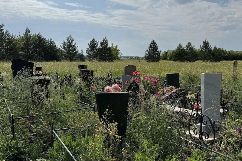 В 13 районах Башкирии отмечен наиболее высокий уровень смертности жителей